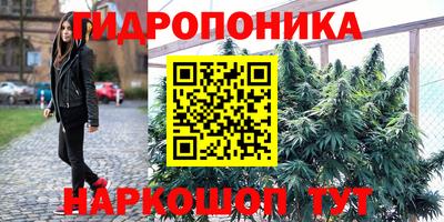 МДПВ Обь
